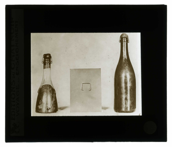 Les vins de Champagne. Observation du remuage.