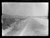 Vue du vignoble