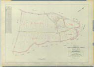Vert-Toulon (51611). Section ZL 1 échelle 1/1000, plan remembré pour 2005, plan régulier (calque)