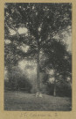 GERMAINE. La Forêt. Le chêne entouré / E. Mulot, photographe à Reims.
Édition Vve R. Lucas.Sans date