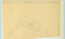 Bisseuil (Aÿ-Champagne 51030). Section W1 échelle 1/2000, plan mis à jour pour 1955, plan non régulier (papier).