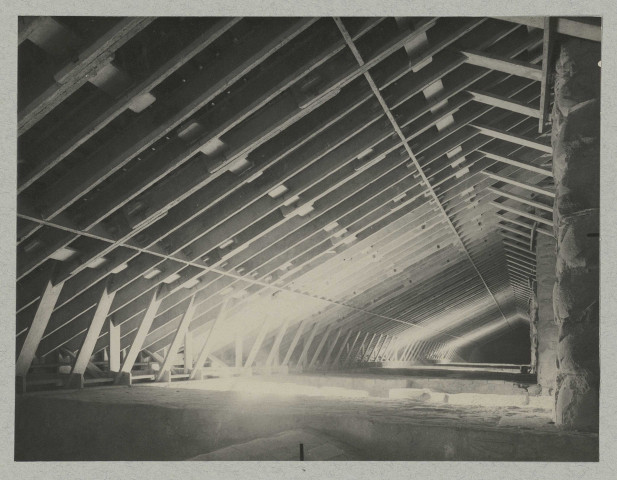 REIMS. Cathédrale de Reims. Charpente bas-côté sud.