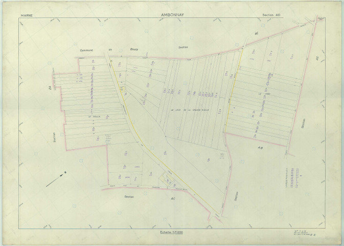 Ambonnay (51007). Section AD échelle 1/1000, plan renouvelé pour 1965, plan régulier (papier armé).