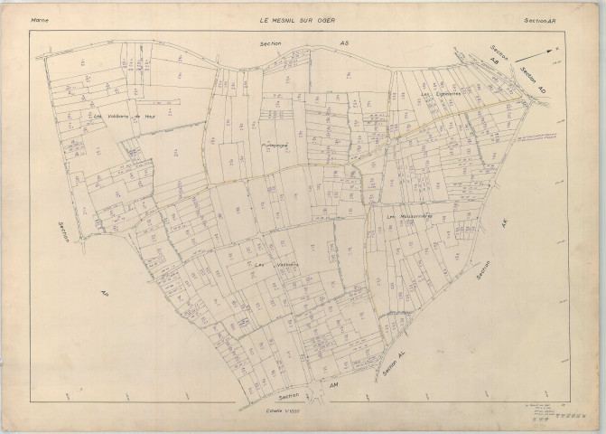 Mesnil-sur-Oger (Le) (51367). Section AR échelle 1/1000, plan renouvelé pour 01/01/1960, régulier avant 20/03/1980 (papier armé)