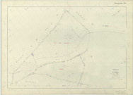 Saint-Amand-sur-Fion (51472). Section ZL échelle 1/2000, plan remembré pour 1982, plan régulier (papier armé)