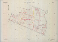 Savigny-sur-Ardres (51527). Section ZE échelle 1/1000, plan renouvelé pour 1990, plan régulier de qualité P5 (calque).