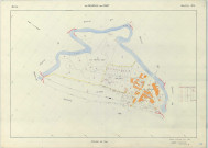 Neuville-au-Pont (La) (51399). Section AN échelle 1/1000, plan renouvelé pour 1966, plan régulier (papier armé)