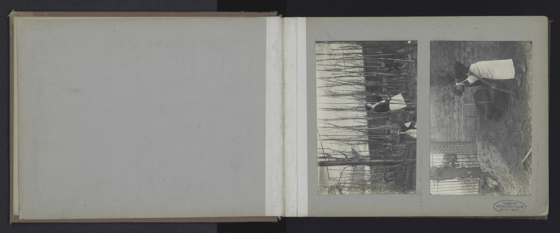 Album de 89 photographies sur le travail de la vigne à Dizy.