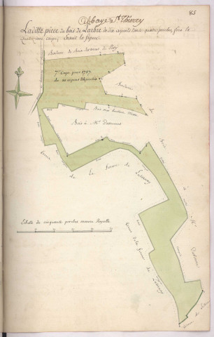 Arpentage et plan d'une pièce de bois dite pièce du bois de Larbre appartenant à l'abbaye Saint-Thierry sur le terroir de Luternay (1779)