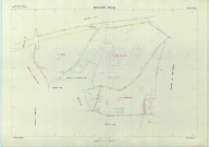 Bouleuse (51073). Section ZE échelle 1/2000, plan remembré pour 1980, plan régulier (papier armé).