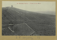 VERZENAY. 58-Vignes du Mont Bœuf / Cliché G. Prieur, photographe à Reims.Collection Palisse