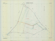 Noirlieu (51404). Section ZX échelle 1/2000, plan remembré pour 1979, plan régulier (calque)