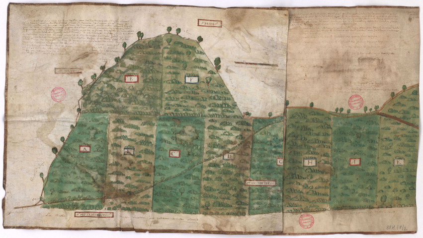 Plan des bois sis à Villers-Allerand (XVIIe-XVIIIe s.), La Joye