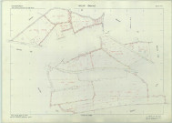 Valmy (51588). Section YN échelle 1/2000, plan remembré pour 1979, plan régulier (papier armé)