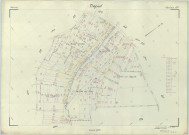 Trépail (51580). Section AP échelle 1/1000, plan renouvelé pour 1965, plan régulier (papier armé).