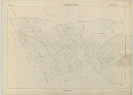 Mesnil-sur-Oger (Le) (51367). Section AM échelle 1/1000, plan renouvelé pour 01/01/1960, régulier avant 20/03/1980 (papier armé)