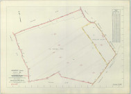 Marson (51354). Section ZL échelle 1/2000, plan remembré pour 1968, plan régulier (papier armé)