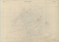 Mesnil-sur-Oger (Le) (51367). Section AE échelle 1/1000, plan renouvelé pour 01/01/1960, régulier avant 20/03/1980 (papier armé)