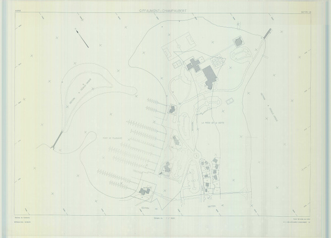 Giffaumont-Champaubert (51269). Section 269 AD échelle 1/1000, plan renouvelé pour 2004, plan régulier (calque)