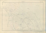 Trigny (51582). Section AP échelle 1/1000, plan renouvelé pour 1962, plan régulier (papier armé).