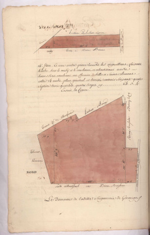 Plans de pièces de terre situées sur le terroir de Germigny pend la pie lieux-dit Ouallet et les Aiguillons (1782), Villain, Buiron