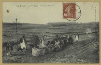 BOUZY. 153-Les vendanges-Epluchage du raisin / G. Franjon, photographe à Ay.
Édition. G. Franjon.[vers 1908]