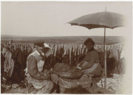 RILLY-LA-MONTAGNE. Vue du vignoble