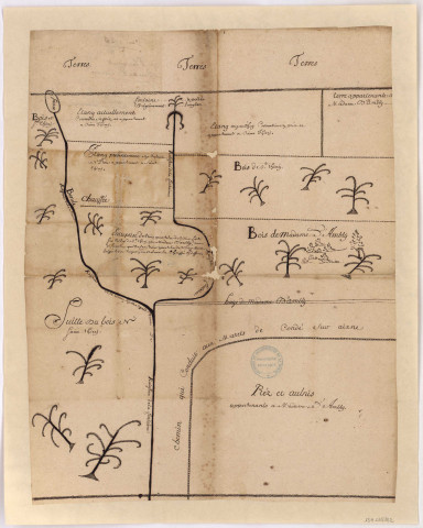 Plan visuel des bois de Serienne, v. 1720.