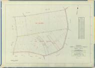 Vert-Toulon (51611). Section ZE 1 échelle 1/2000, plan remembré pour 2005 (extension sur Férebrianges YE), plan régulier (calque)