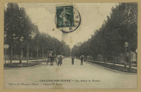 CHÂLONS-EN-CHAMPAGNE. Les allées de Forets.
Châlons-sur-MarneLes Magasins Réunis.1910