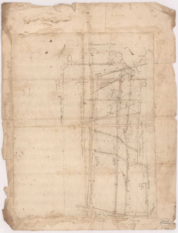 Aulnay-aux-Planches. Plan des terres du Grand Aulnay, s. d. XVIII.