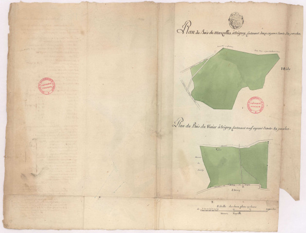 Plans des bois de la seigneurie de Luternay et des bois de Marzelles et du Vivier sur le terroir de Trigny (1779), Pierre Villain