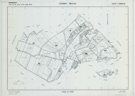 Changy (51122). Tableau d'assemblage échelle 1/5000, plan remembré pour 1994, plan régulier (calque)