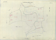 Châtillon-sur-Broué (51135). Section ZE échelle 1/2000, plan remembré pour 1981, plan régulier (papier armé)