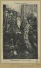 BAZANCOURT. La Marne dévastée N. D. des malades / G.A. Deville Lecomte, photographe à Bazancourt.
Édition Simon-Loth.[vers 1924]