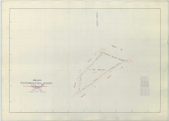 Châtelraould-Saint-Louvent (51134). Section ZM échelle 1/2000, plan remembré pour 1966, plan régulier (papier armé)