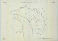 Saint-Remy-en-Bouzemont-Saint-Genest-et-Isson (51513). Section ZH échelle 1/2000, plan remembré pour 1985, plan régulier (calque)