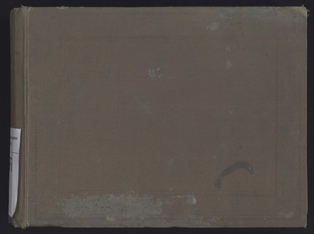 Album de 89 photographies sur le travail de la vigne à Dizy.