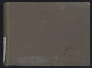 Album de 89 photographies sur le travail de la vigne à Dizy.