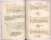 Arpentages et plans de pièces de bois au terroir de Saint-Thierry, lieux-dits : la Folie, au Blochy, Sous Sainte Anne (1761)
