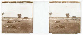 La Marne. Cadavres de Zouaves 1914.