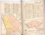 Plan du 48e canton du terroir de Chenay appellé les Moines Val comprenant les numéros 1025 et suivant jusques et compris le 1055e 1779 , Plan du 49e canton du terroir de Chenay appellé les Glizes comprenant les numéros 1056 et suivant jusques et compris le 1062e 1779, Villain
