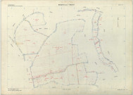 Binarville (51062). Section ZB échelle 1/2000, plan remembré pour 1975, plan régulier (papier armé)