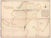 Plan figurative des bois de la communauté de Gigny-aux-Bois n°1, 1742.