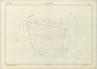 Juvigny (51312). Section ZM échelle 1/2000, plan remembré pour 1966, plan régulier (papier armé)