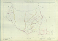 Villers-en-Argonne (51632). Section ZA échelle 1/2000, plan remembré pour 1988 (extension sur Châtrice section AN), plan régulier (papier armé)