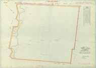 Val-de-Vesle (51571). Section ZN échelle 1/2000, plan remembré pour 1966, plan régulier (papier armé).