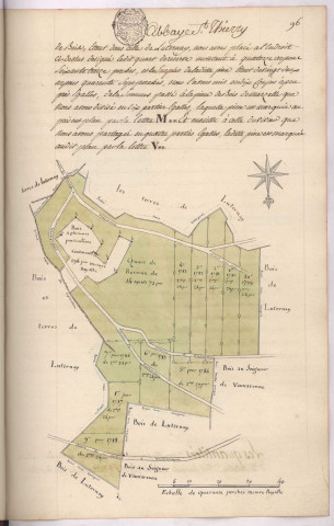 Arpentage et plan de la partie des bois de Luternay attribuée aux religieux de Saint-Remi (1779)