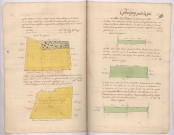 Plans de pièces de terre situées sur le terroir de Germigny pend la pie lieux-dit le Bois de Germigny, le Sauchamp, la Hayette, proche le Bois et la Bauvette (1782), Villain, Buiron