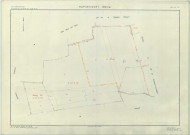 Rapsécourt (51452). Section ZK échelle 1/2000, plan remembré pour 1980 (extension sur Herpont section ZP et La Chapelle-Felcourt section ZI), plan régulier (papier armé)